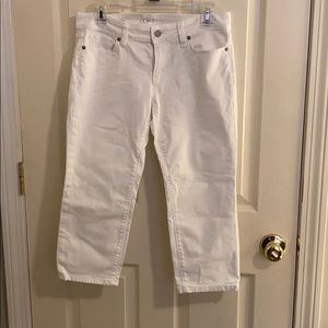 Ann Taylor loft •28/6P•White•Modern crop•
